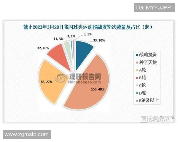 球类运动的多样化发展与全球化趋势探析：从传统项目到新兴运动的兴起与融合
