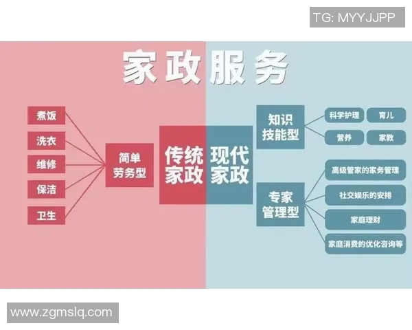 提升家政服务质量，打造智能化与专业化并行的全新家政产业链模式